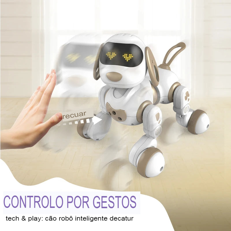 RB PetBoot - Modelo 03- Controle Remoto