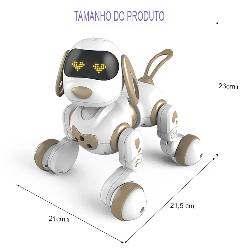 RB PetBoot - Modelo 03- Controle Remoto