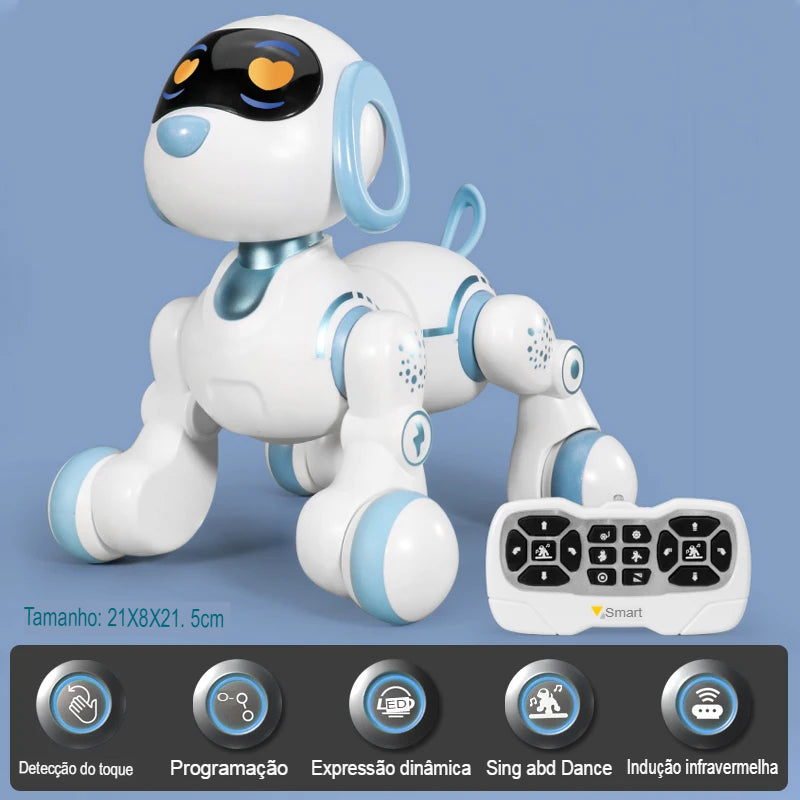 RB PetBoot - Modelo 03- Controle Remoto